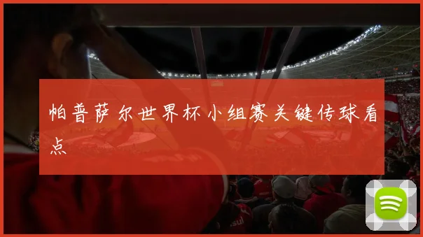 帕普萨尔世界杯小组赛关键传球看点