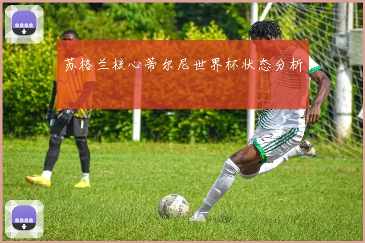 苏格兰核心蒂尔尼世界杯状态分析