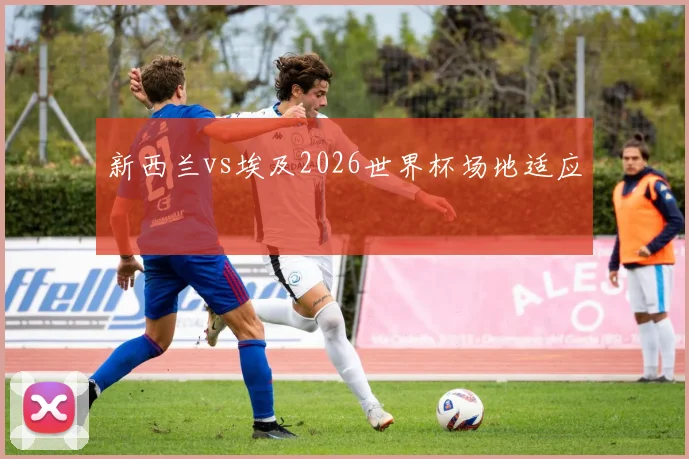 新西兰vs埃及2026世界杯场地适应