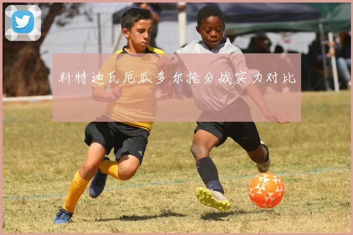 科特迪瓦厄瓜多尔抢分战实力对比