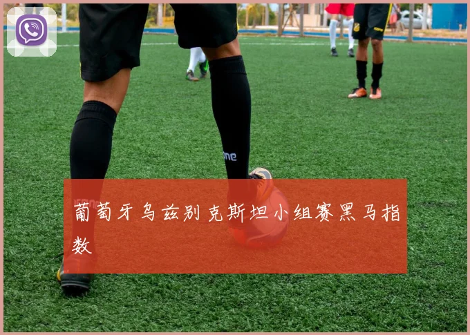 葡萄牙乌兹别克斯坦小组赛黑马指数