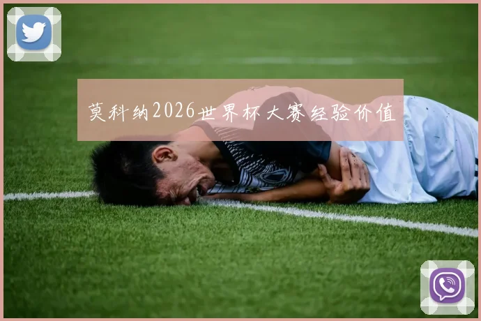 莫科纳2026世界杯大赛经验价值