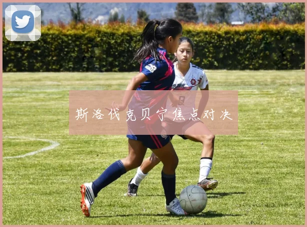 斯洛伐克贝宁焦点对决