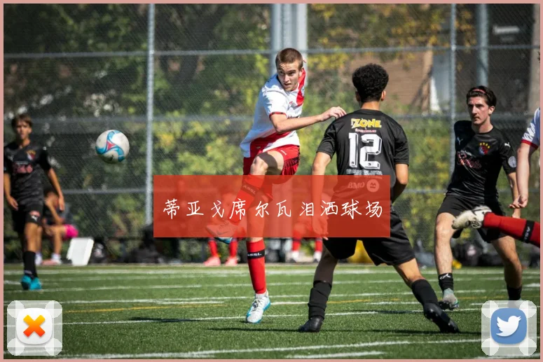 蒂亚戈席尔瓦泪洒球场