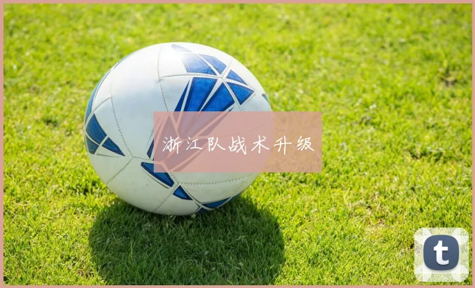 浙江队战术升级