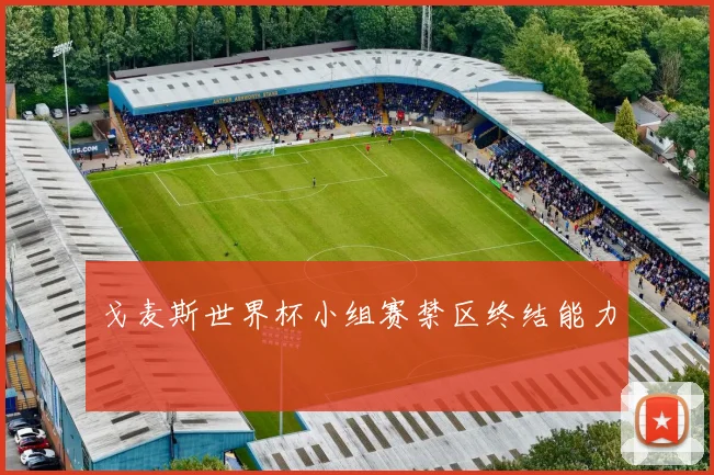 戈麦斯世界杯小组赛禁区终结能力