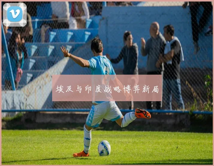 埃及与印度战略博弈新局