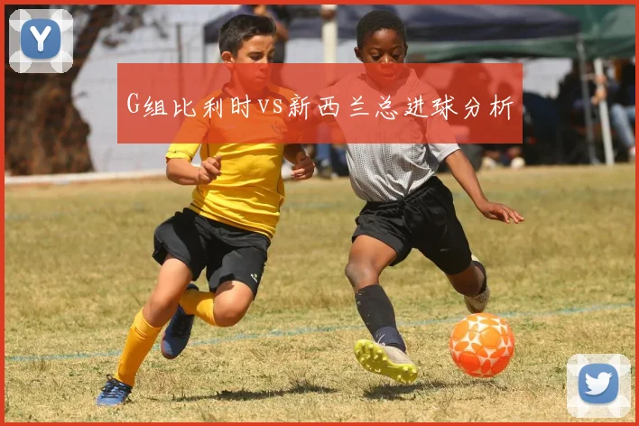 G组比利时vs新西兰总进球分析