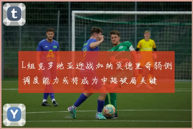 L组克罗地亚迎战加纳莫德里奇弱侧调度能力或将成为中路破局关键