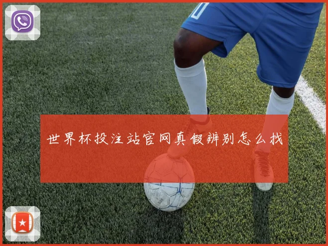 世界杯投注站官网真假辨别怎么找